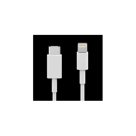 Cable de charge USB C vers Lightning